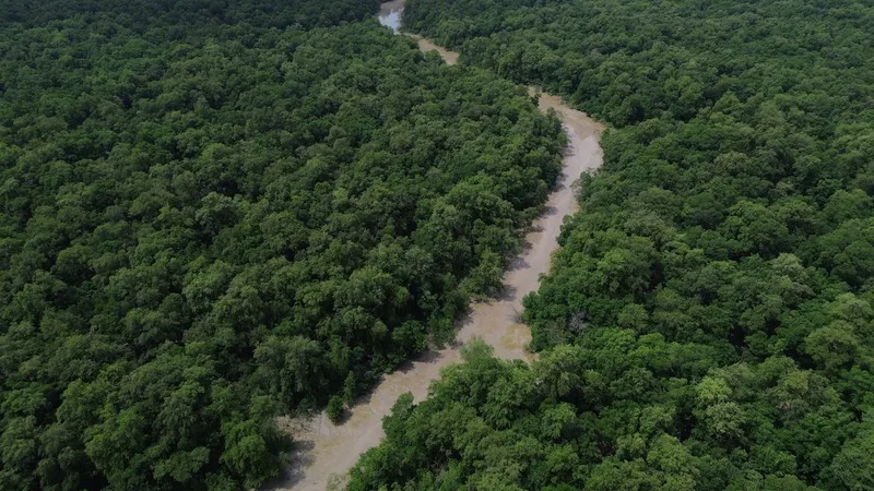 Bragança (PA), 12/06/2025 – Vista de um braço do Rio Caeté em área de manguezal na Reserva Extrativista Marinha de Caeté-Taperaçu monitorada pelo projeto Mangues da Amazônia