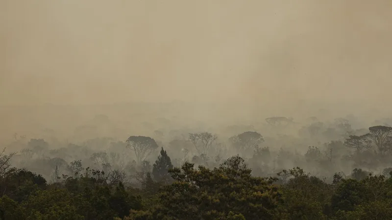 Brasília (DF), 16/09/2024 - Grandes focos de incêndio atingem áreas do Parque Nacional de Brasília