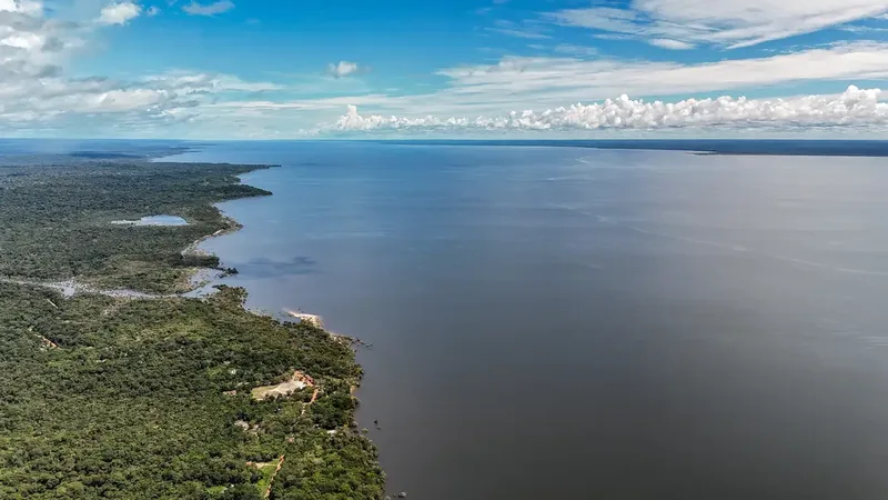14/05/2026 - Belterra - Floresta 
Nacional do Tapajós - Pará - Na comunidade de Piquiatuba, dentro da Floresta 
Nacional do Tapajós, Elton Vasconcelos criou um 
negócio que une culinária regional, turismo de…