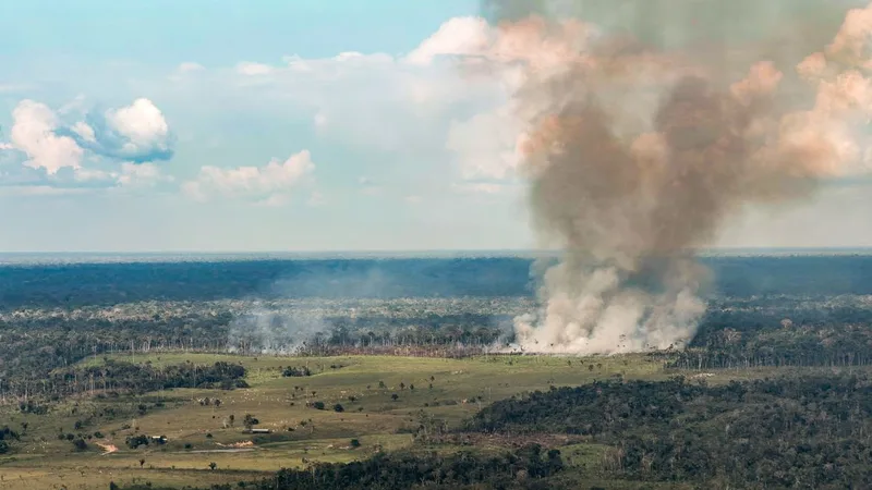 13/10/2026 - Acre -  Fogo, queimadas, incêndios florestais e fumaça ameaçam a floresta amazônica no Acre. Entre Cruzeiro do Sul e Marechal Thaumaturgo, a paisagem revela a pressão sobre a vegetação nativa e a…