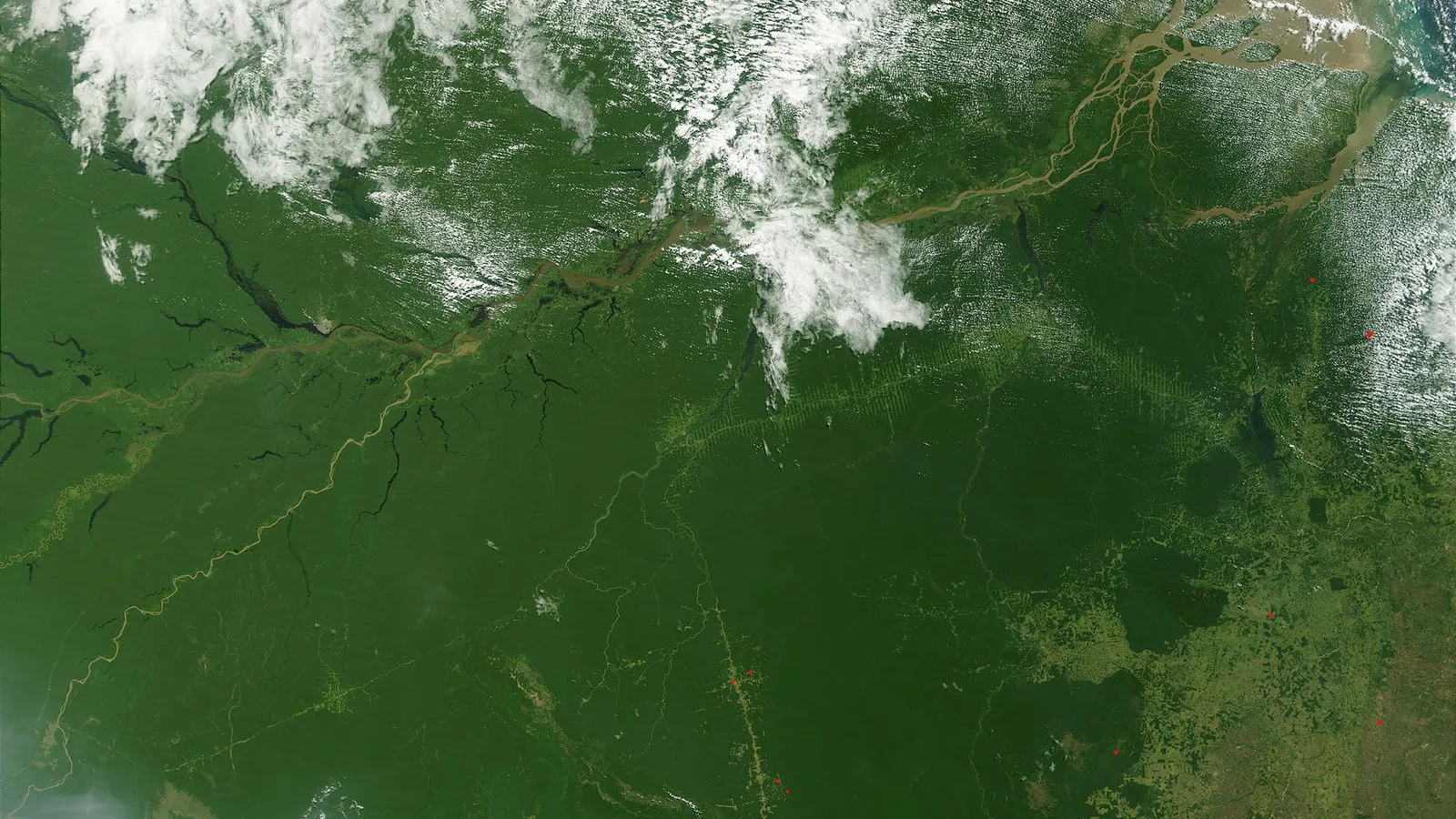 Queimada na floresta amazônica