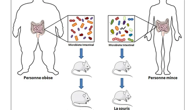 Ilustração da microbiota intestinal