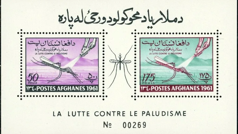 Mosquito Anopheles, transmissor da malária