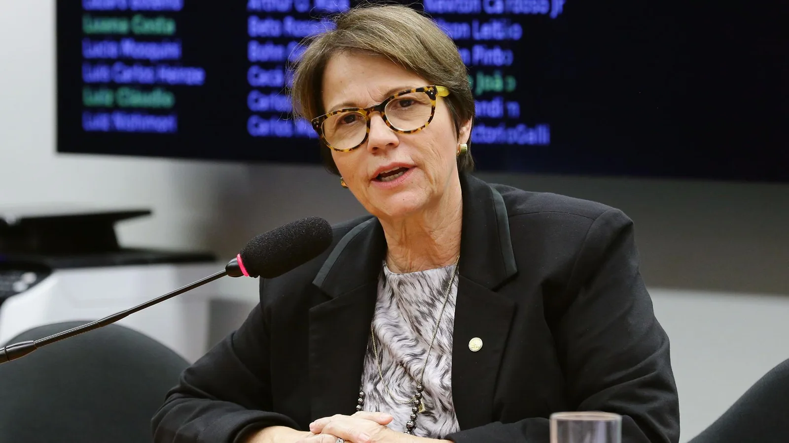 Retrato de Tereza Cristina