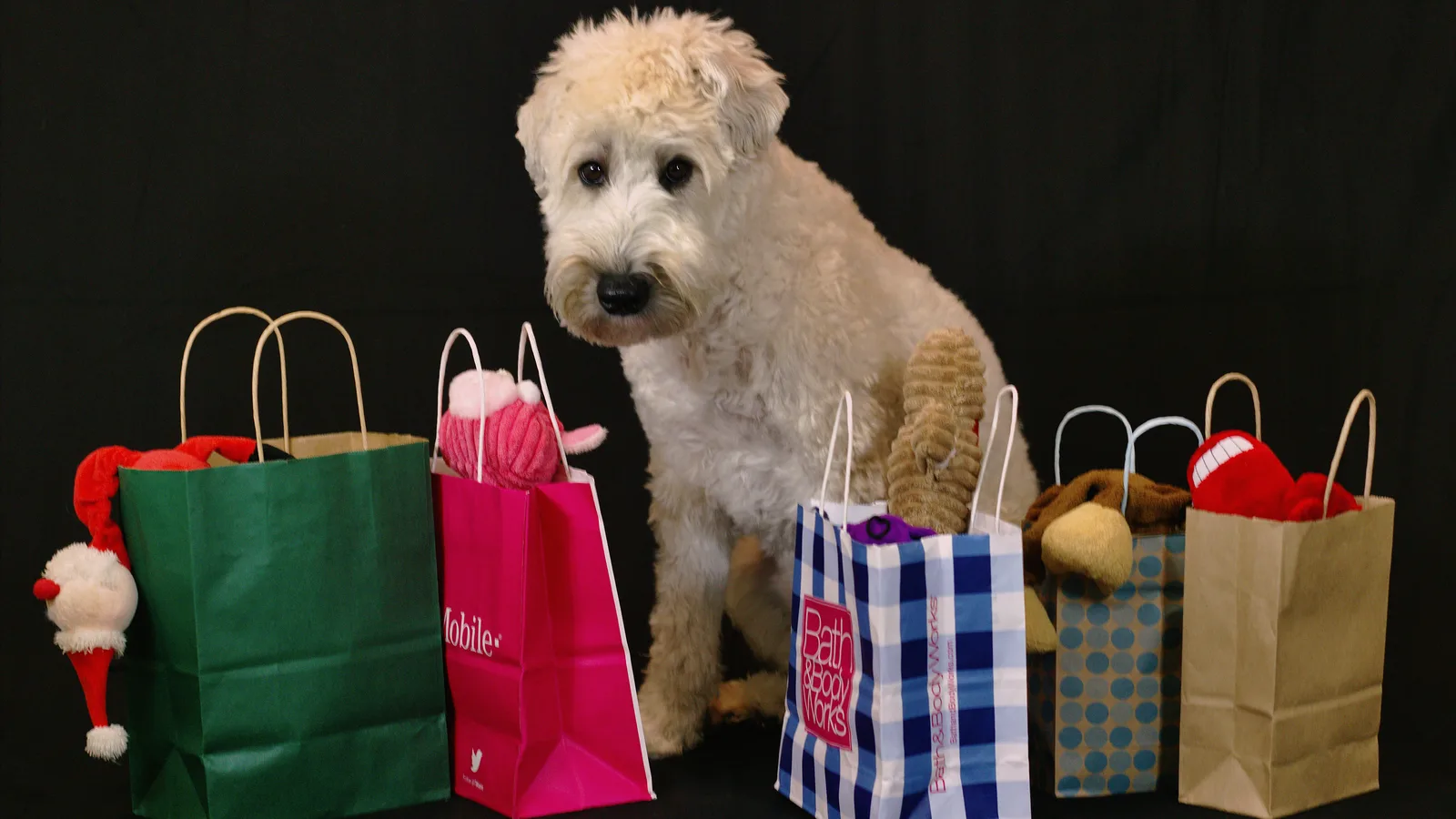 Sacolas de compras em loja