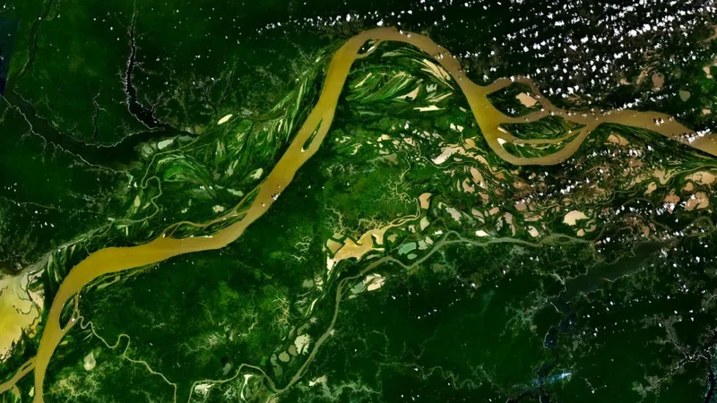 Vista aérea da floresta amazônica