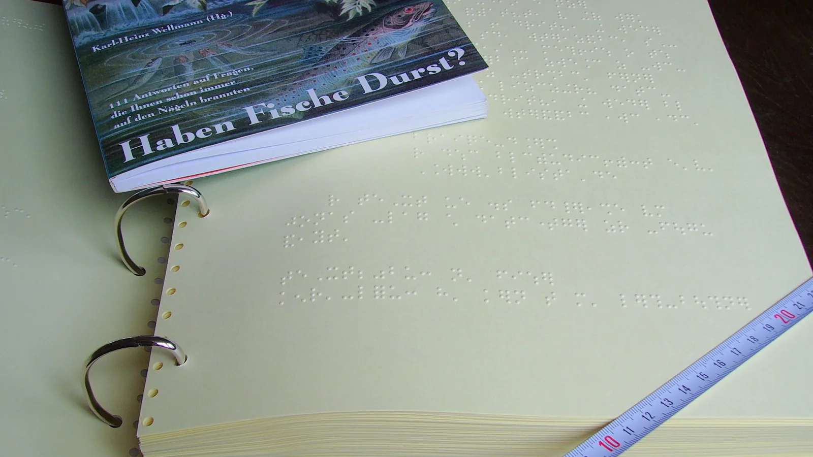 Livro em braille