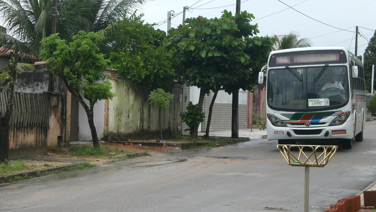 Ônibus urbano em circulação