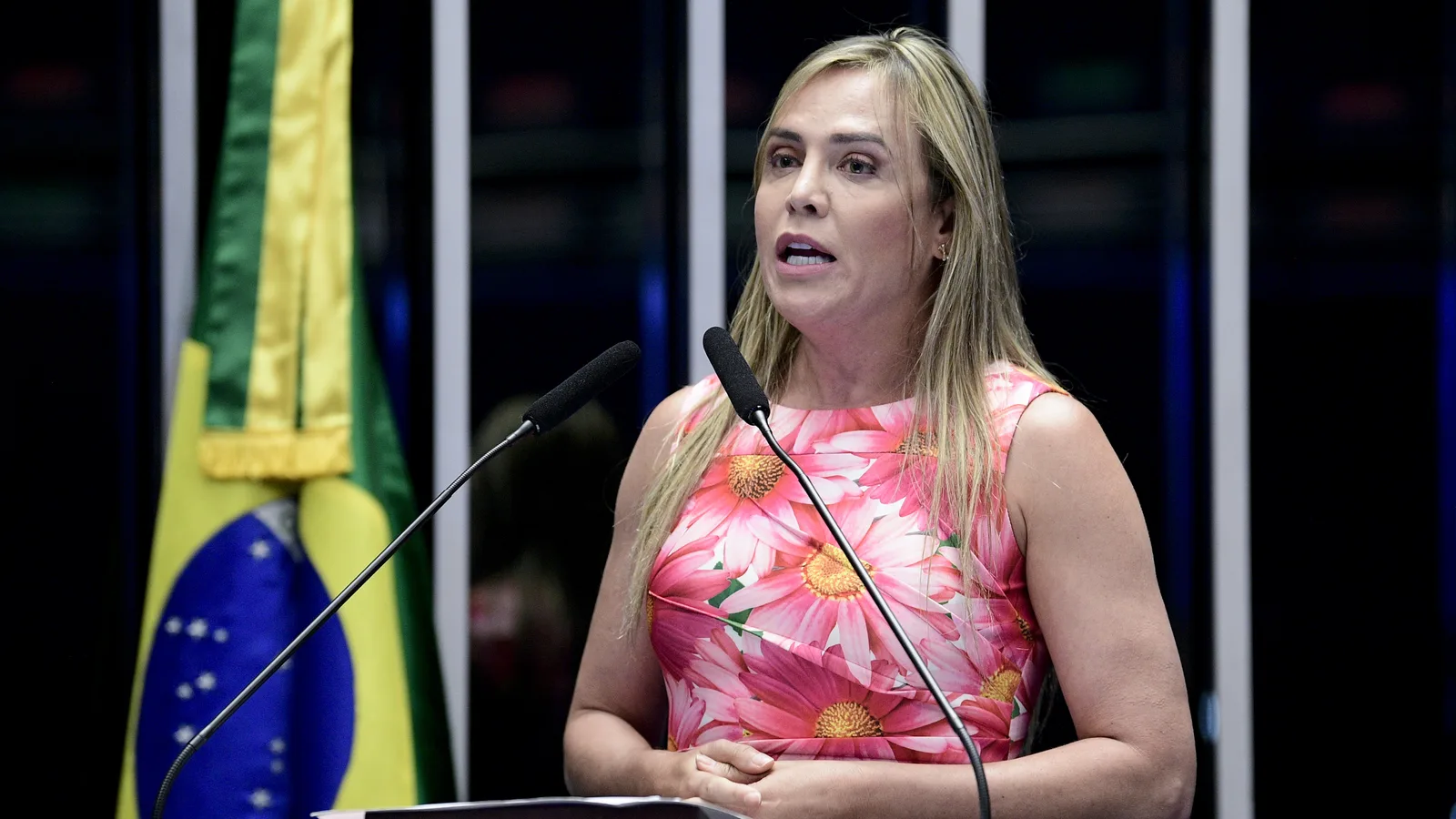Retrato de Celina Leão
