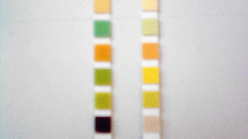 Tiras reagentes para medir glicemia
