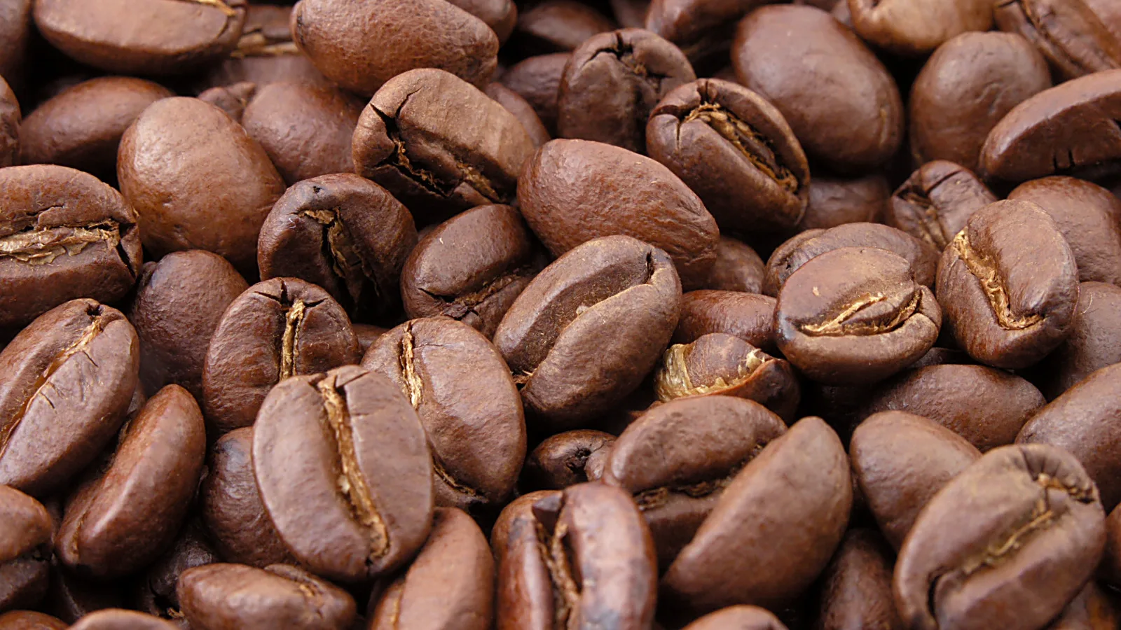 Grãos de café torrados