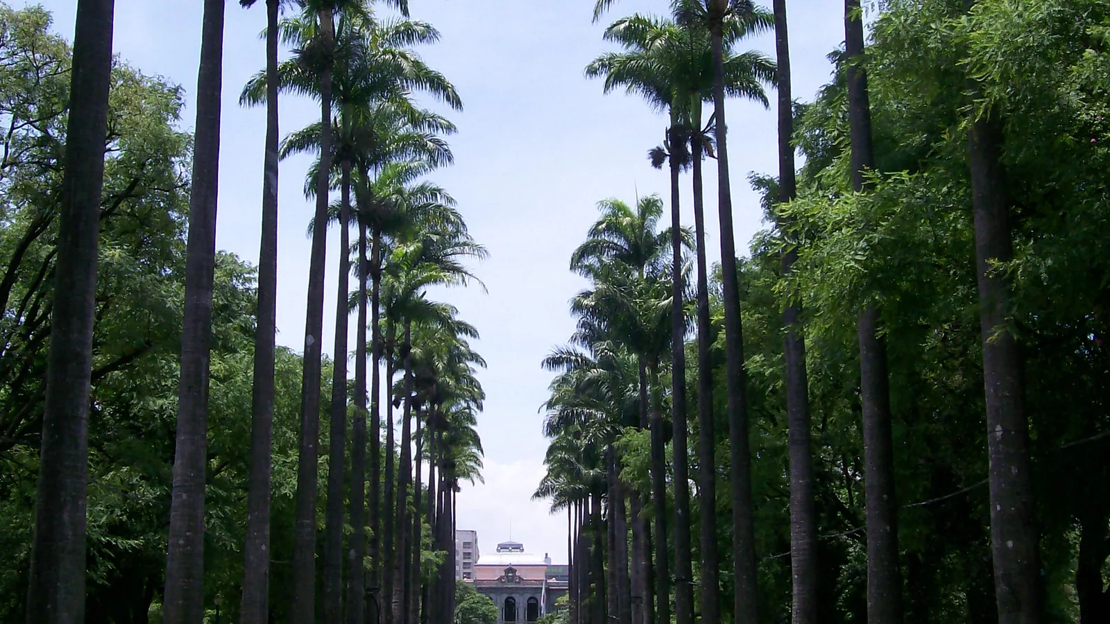 Praça da Liberdade em Belo Horizonte