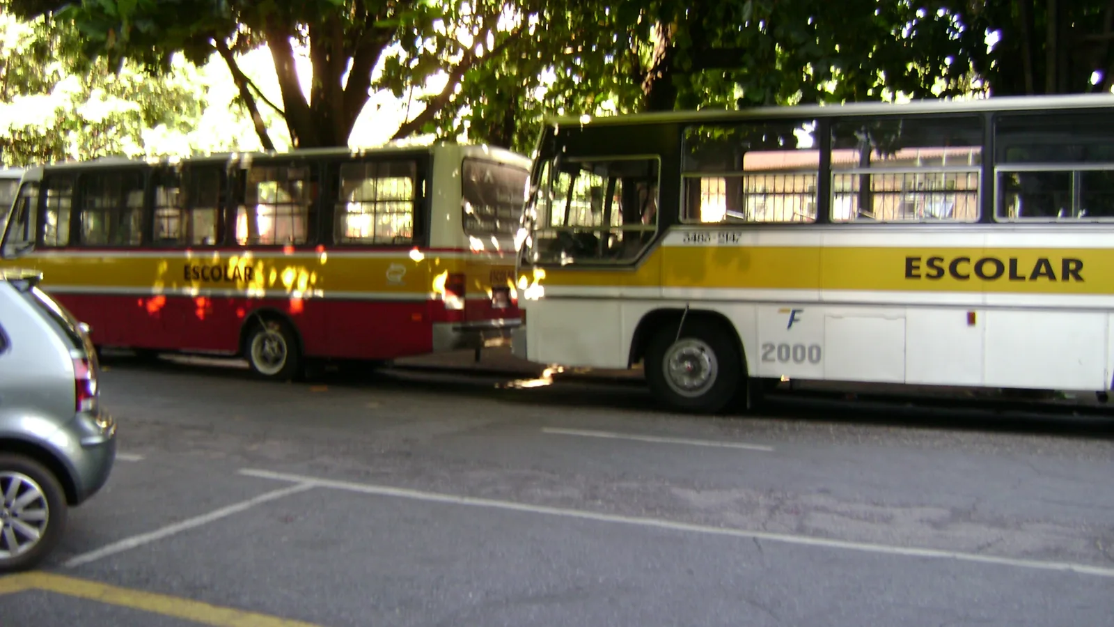 Ônibus escolar em estrada