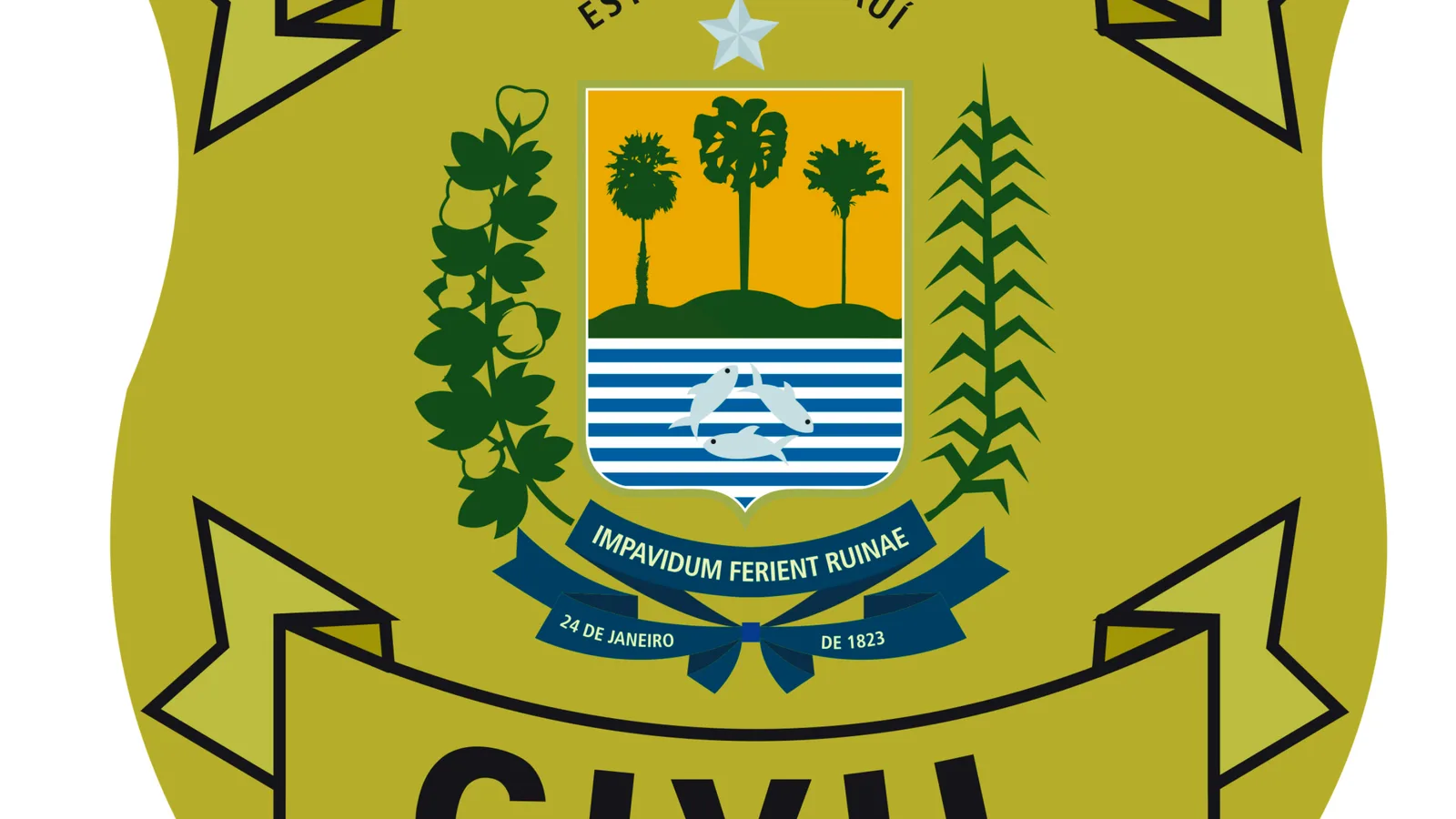 Investigação policial no Brasil