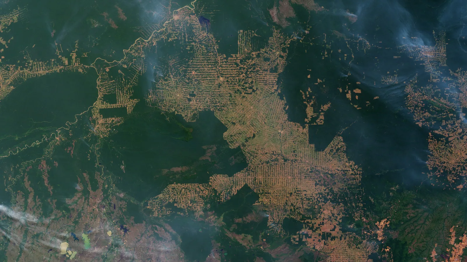 Desmatamento na Amazônia
