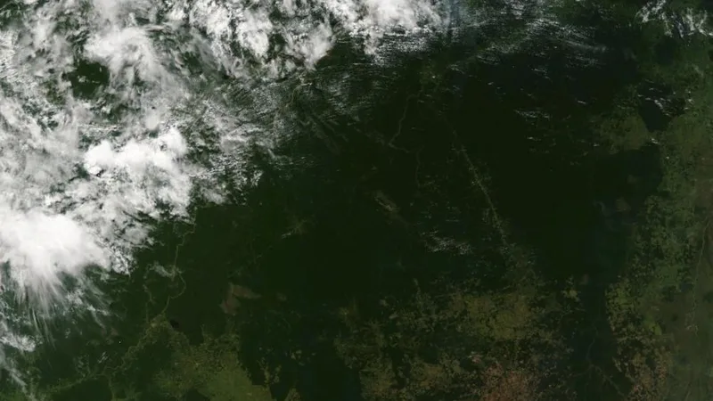 Focos de queimada na floresta amazônica
